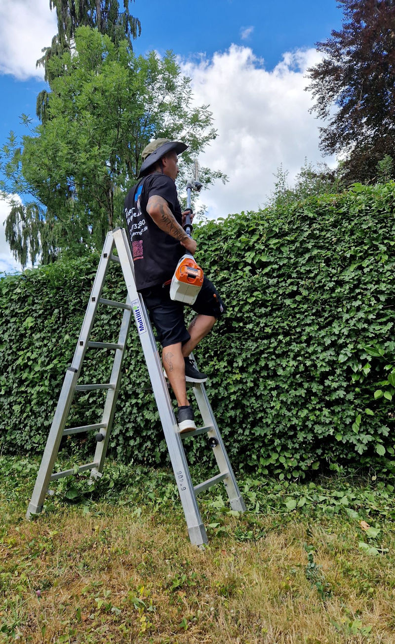 Professioneller Heckenschnitt